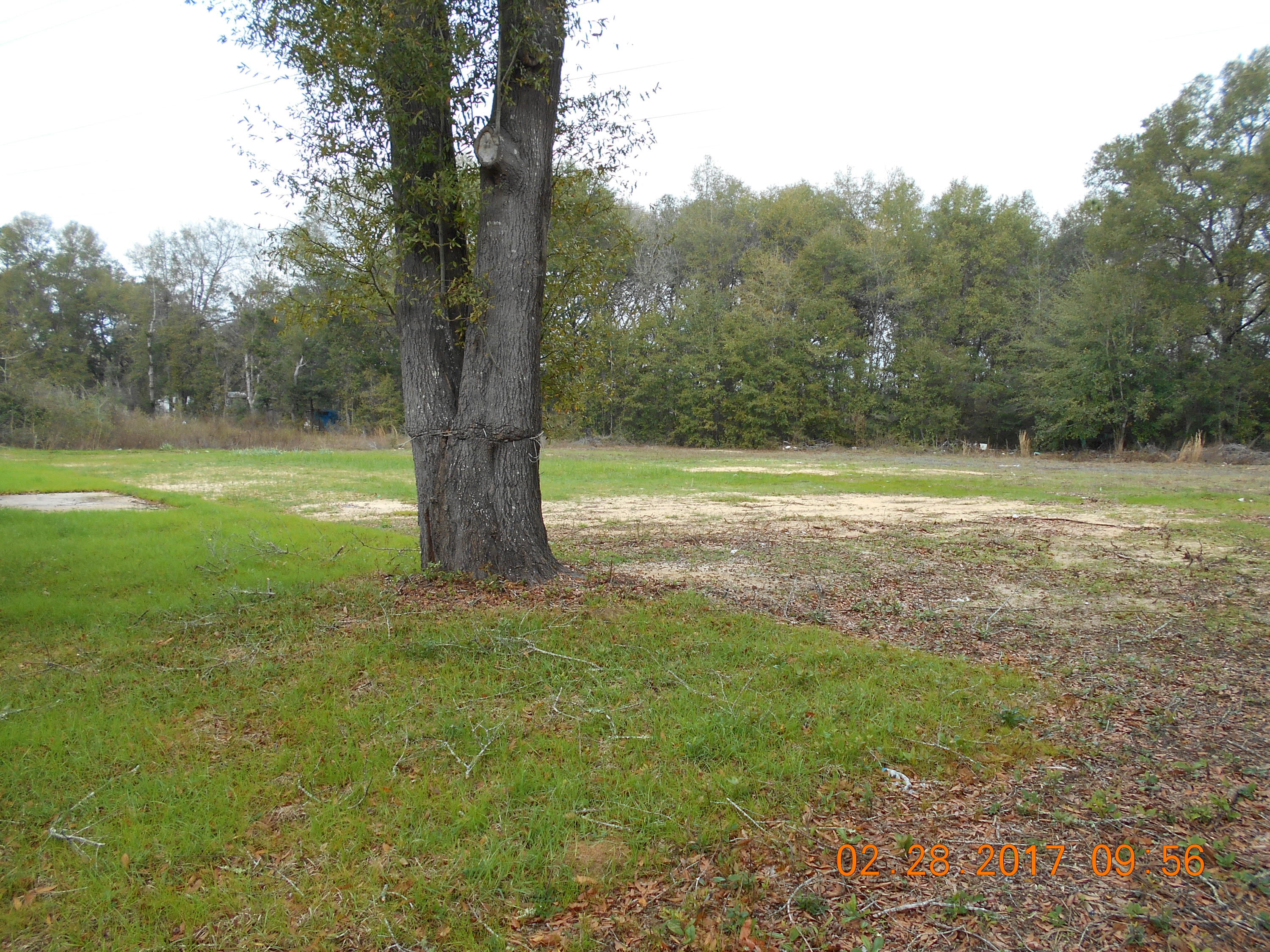 3117 Aplin Road Crestview, FL 32539 - Photo 7 of 28 Gallery Image 7