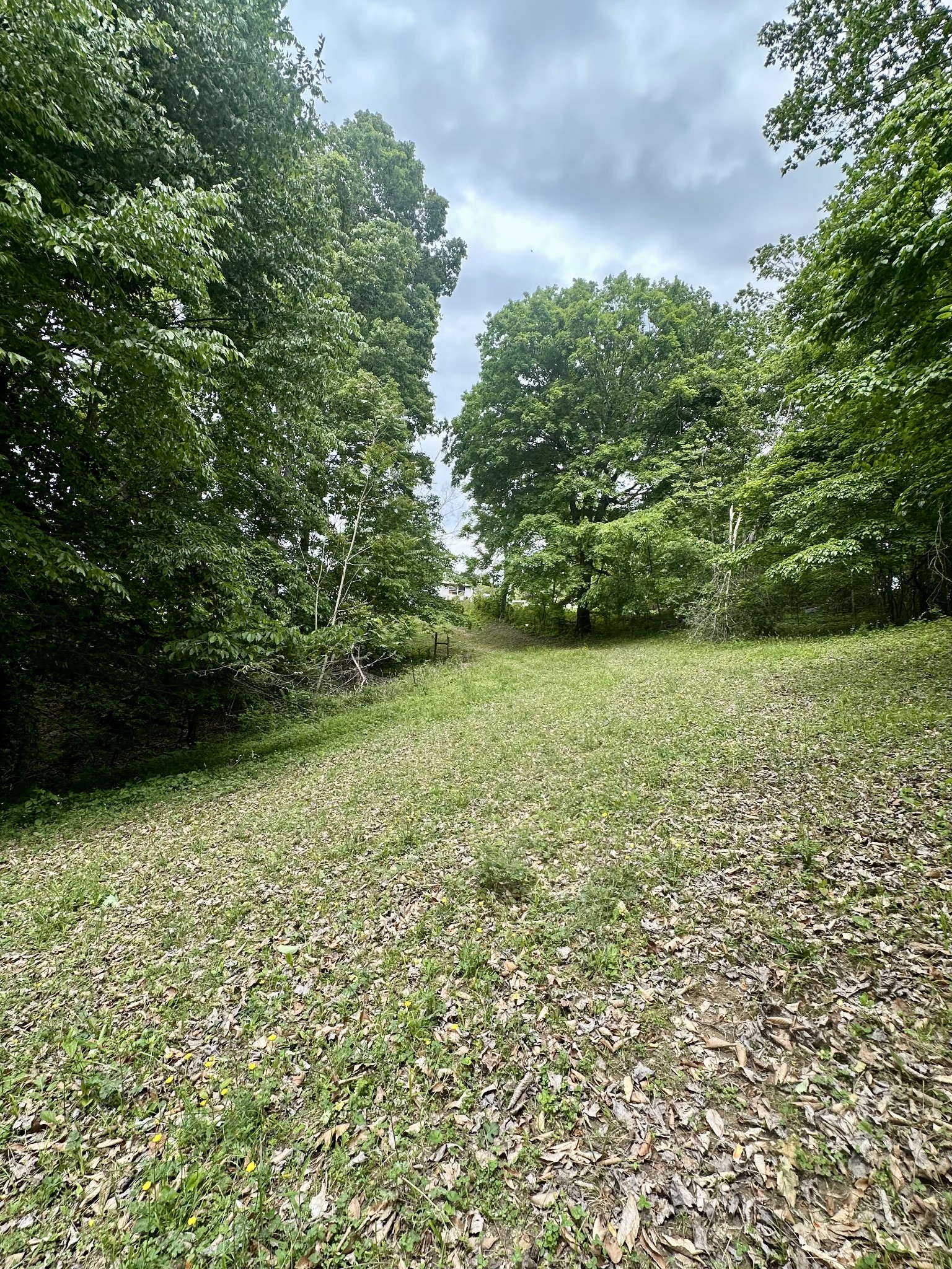 0 Hall Road Greenbrier, TN 37073 - Photo 9 of 28