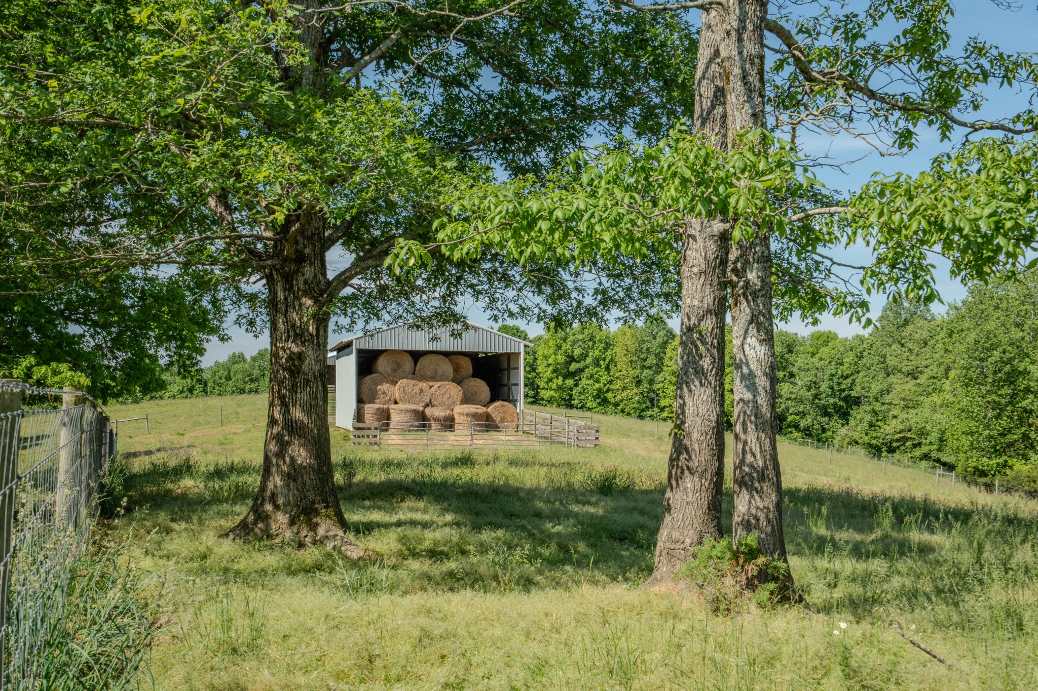 875 Waterloo Road Westpoint, TN 38486 - Photo 71 of 89 Gallery Image 71