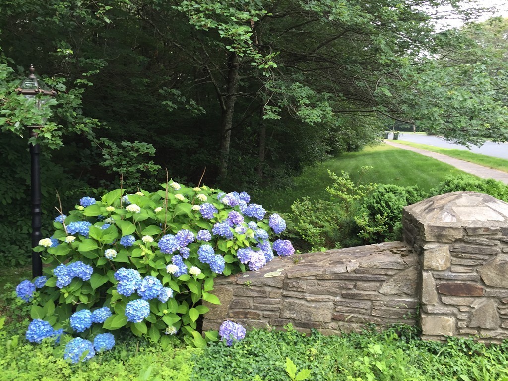 10 Jefferson Road Franklin, MA 02038 - Photo 3 of 30 Gallery Image 3