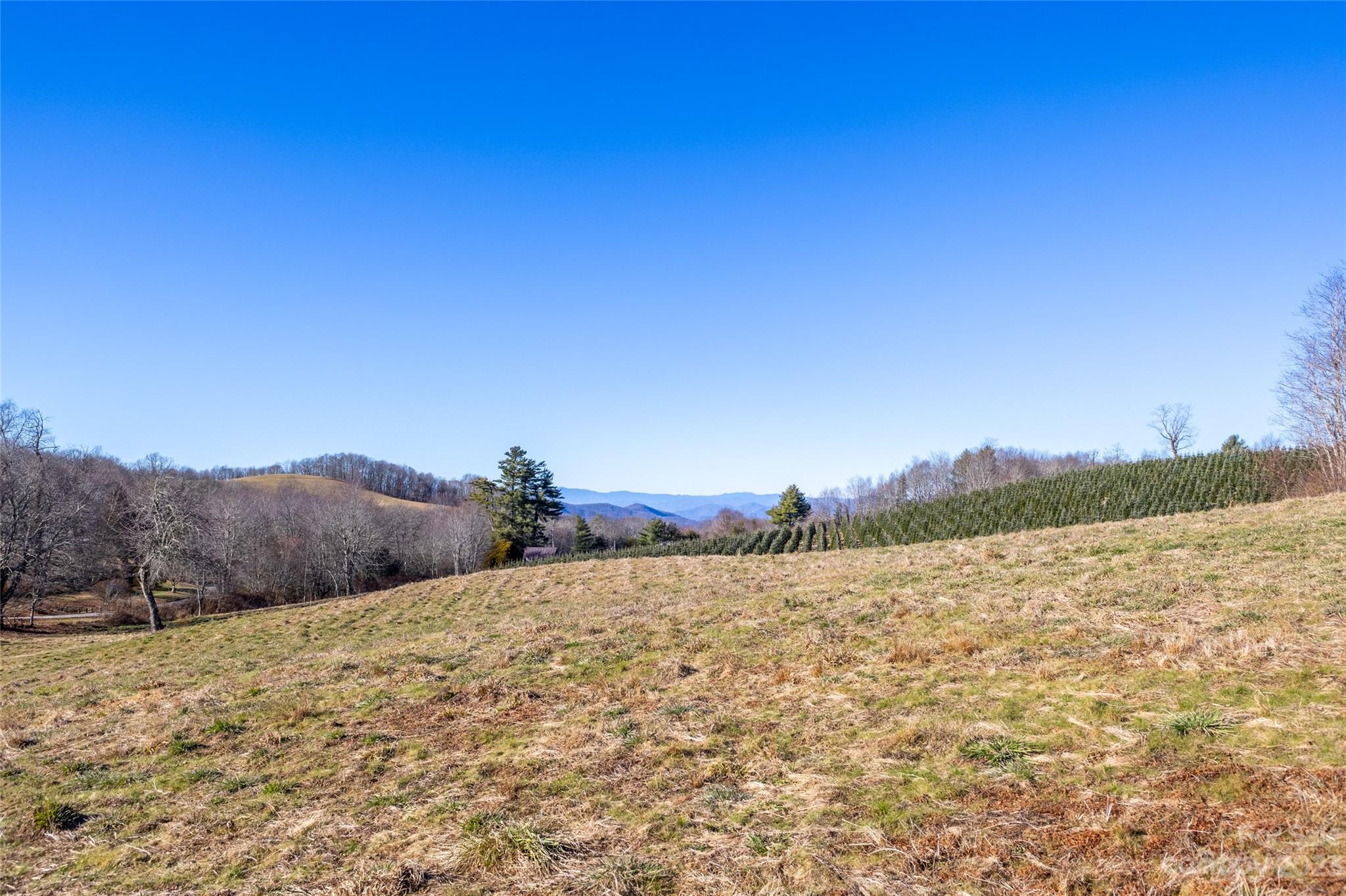 3760 Big Ridge Road Glenville, NC 28736 - Photo 8 of 15 Gallery Image 8