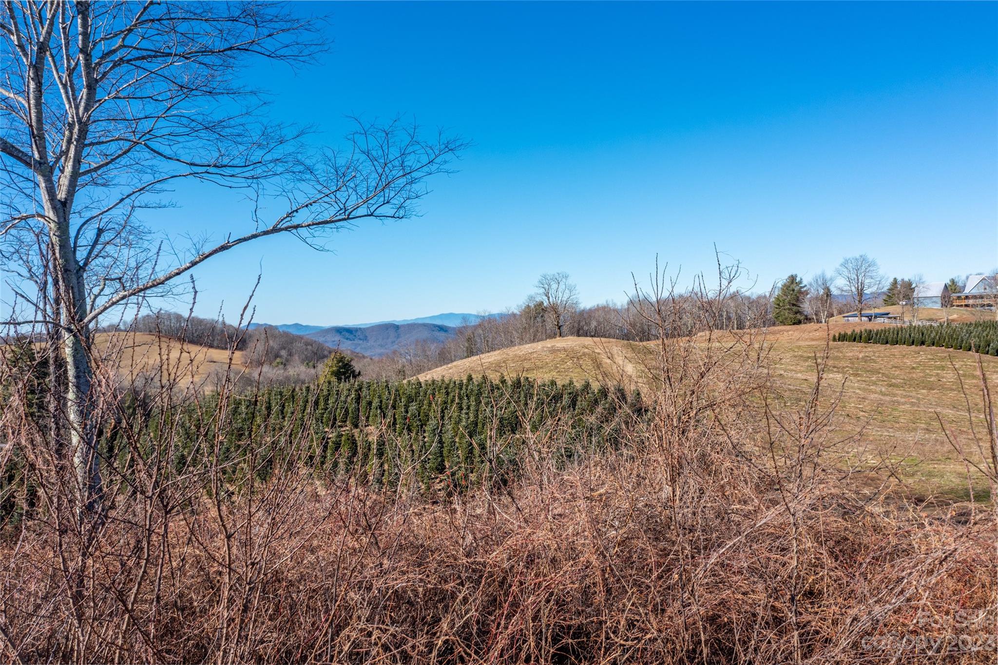 3760 Big Ridge Road Glenville, NC 28736 - Photo 9 of 15 Gallery Image 9