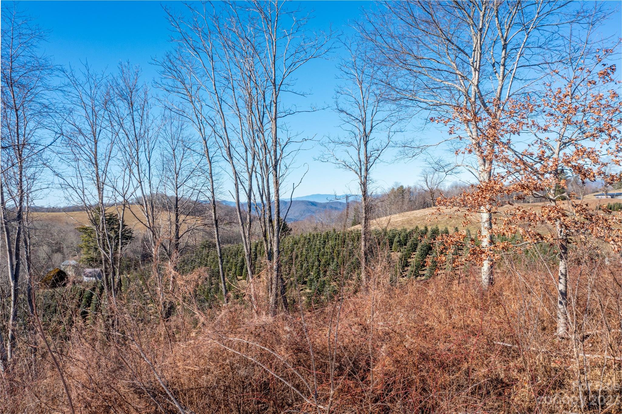 3760 Big Ridge Road Glenville, NC 28736 - Photo 10 of 15 Gallery Image 10