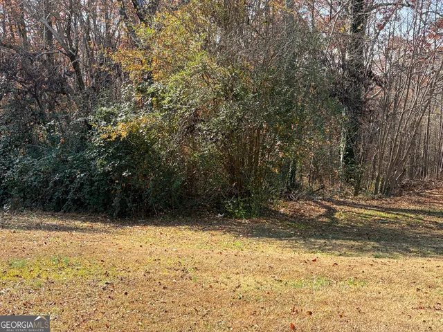 a view of a park with large trees