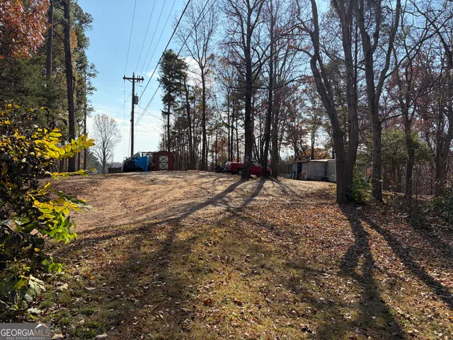 a view of a tree with tree s