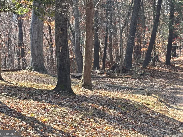 a view of a backyard with sitting area and furniture