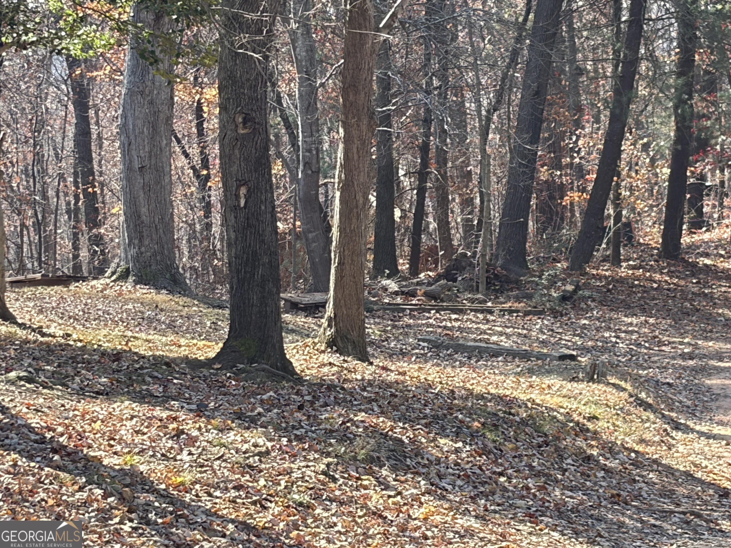 1546 Candler Road Gainesville, GA 30507 - Photo 9 of 20