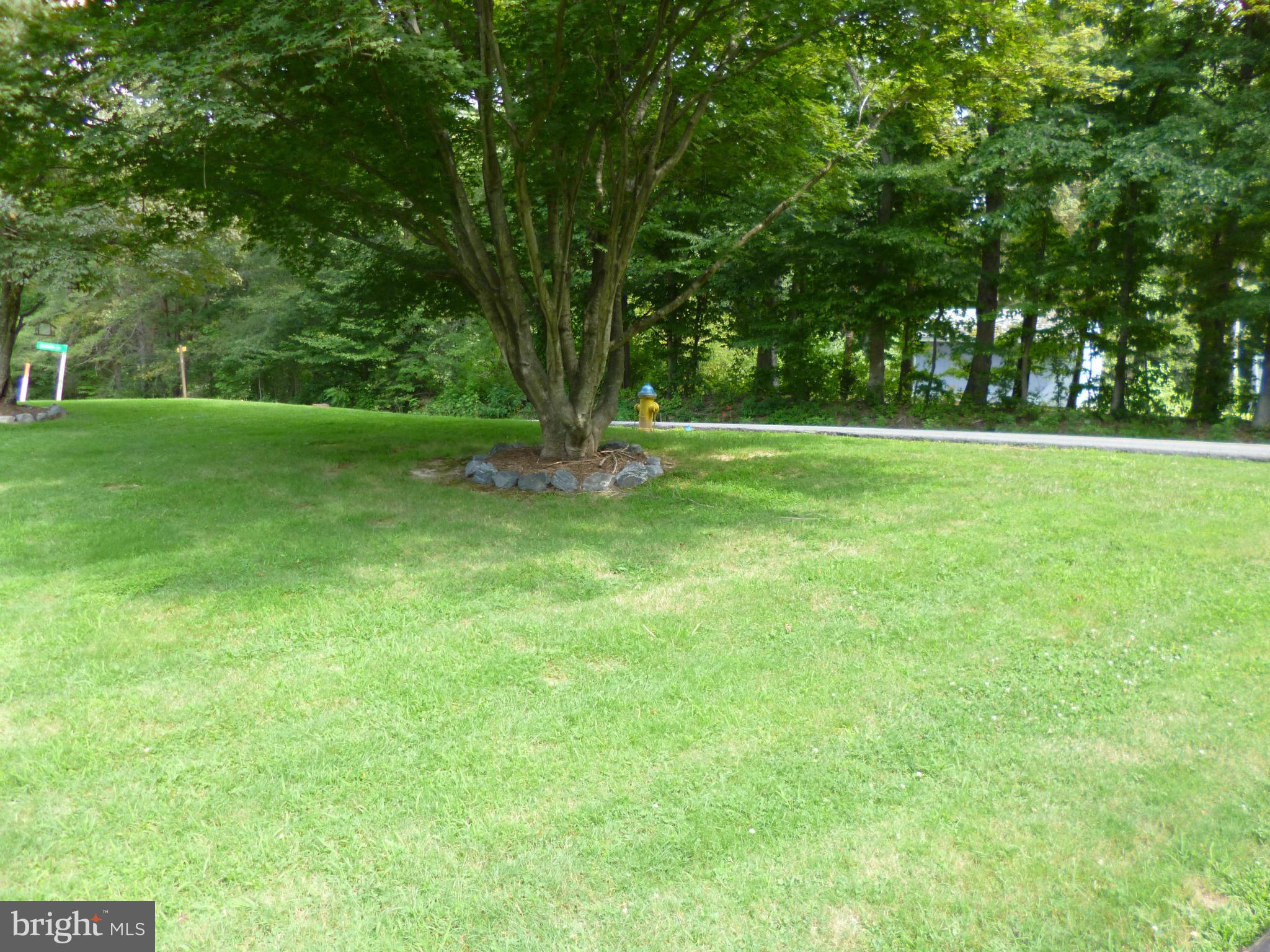 535 Brooke Road Fredericksburg, VA 22405 - Photo 3 of 16 Exterior (Rear)