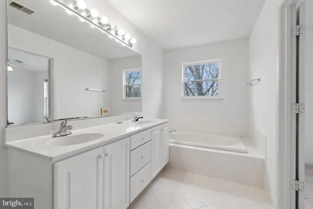 a bathroom with a double vanity sink mirror and bathtub