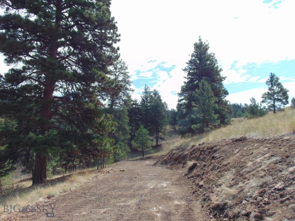 Tbd Shady Spring Lane Cascade, MT 59421 - Photo 70 of 78 Gallery Image 70