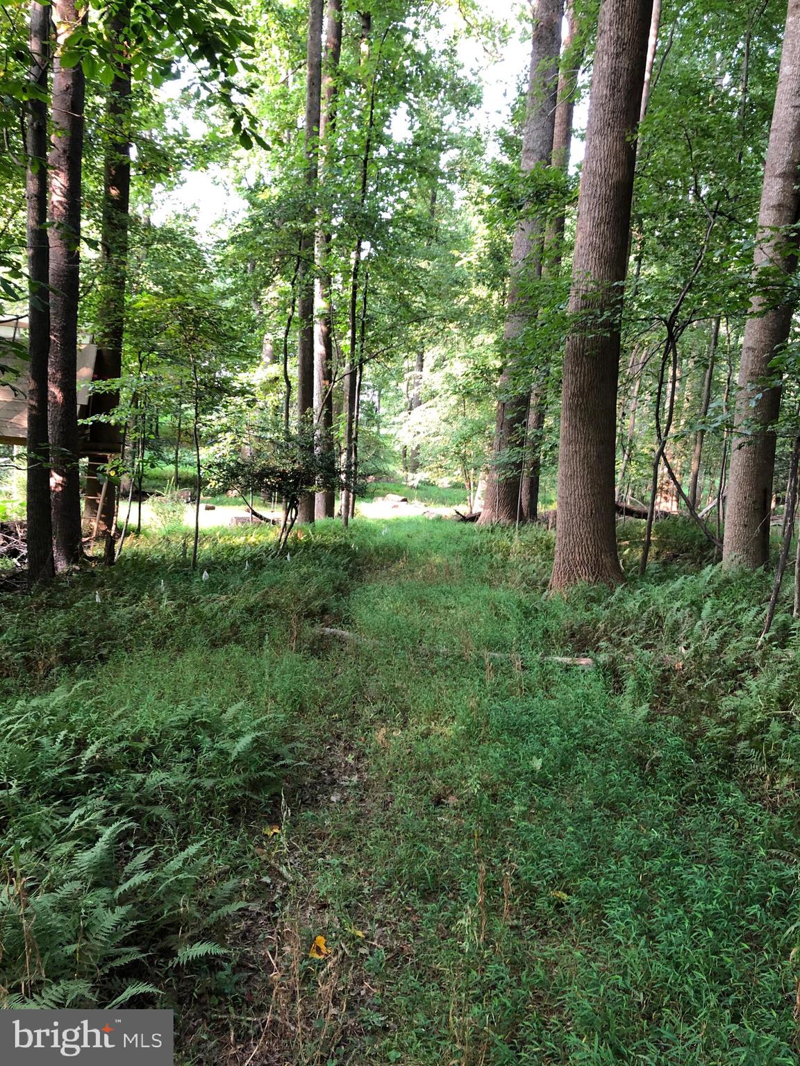 Pine Tree Drive Fairfax, VA 22033 - Photo 12 of 17