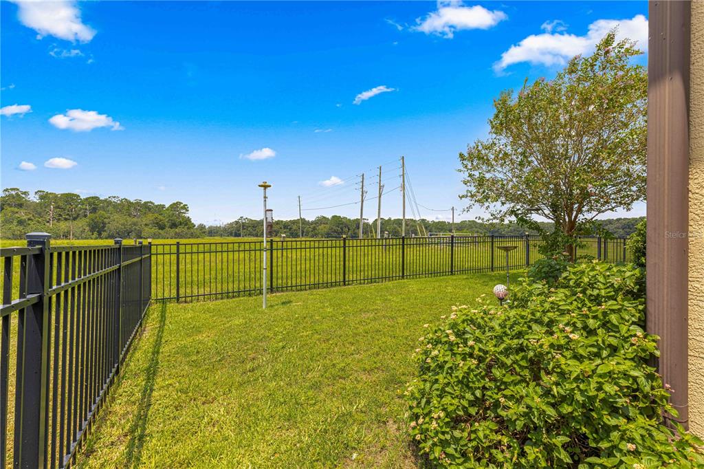 9793 Southwest 63rd Loop Ocala, FL 34481 - Photo 46 of 64