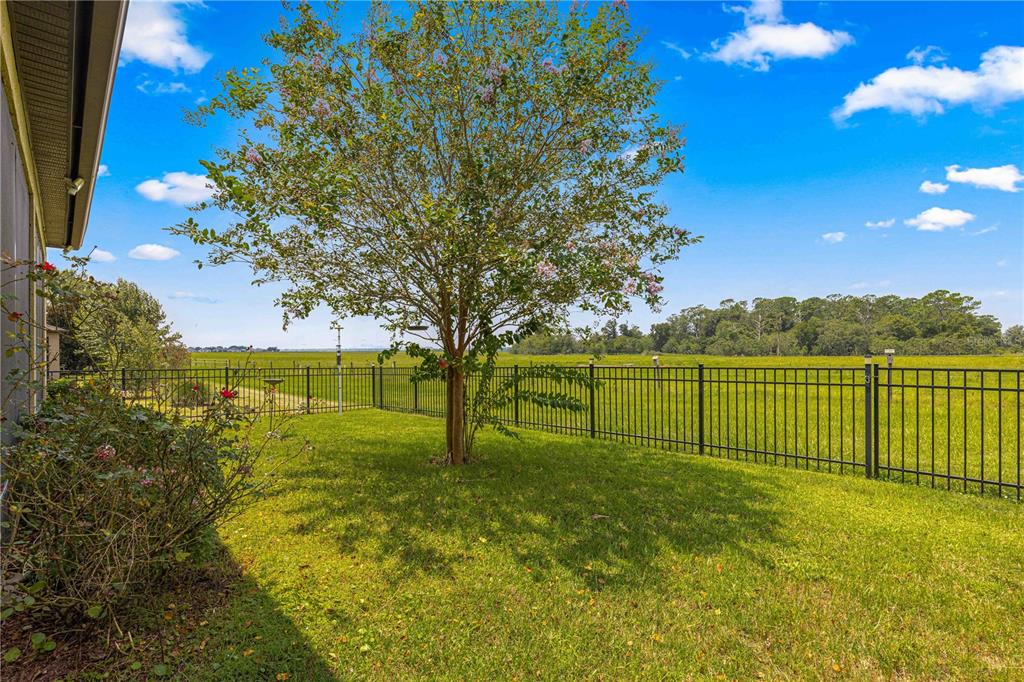 9793 Southwest 63rd Loop Ocala, FL 34481 - Photo 47 of 64