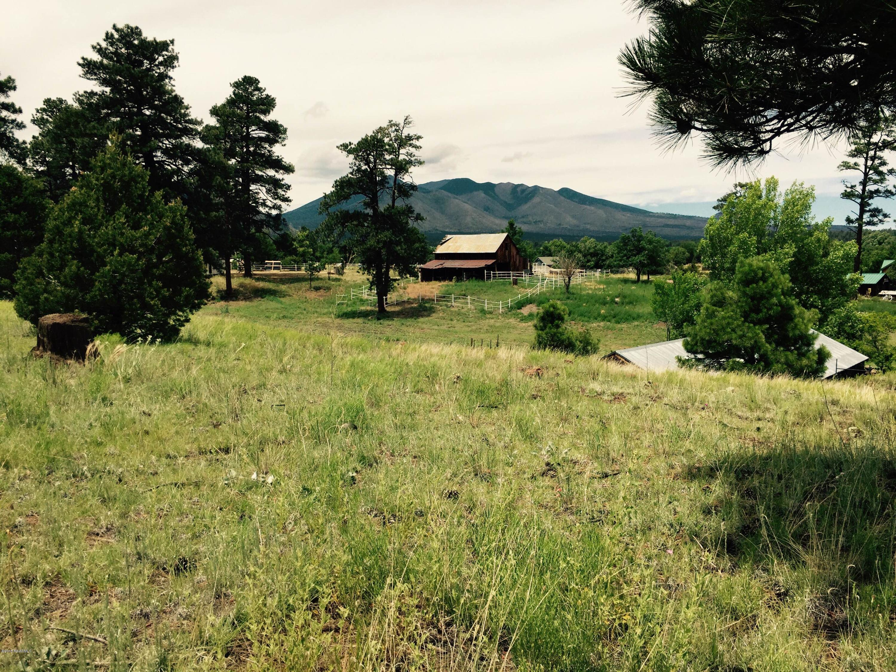 7156 East Ride A Mule Road Flagstaff, AZ 86004 - Photo 11 of 15 IMG_6714