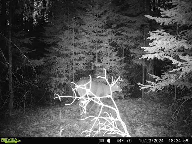 6692 County Rd C South Range, WI 54874 - Photo 28 of 33