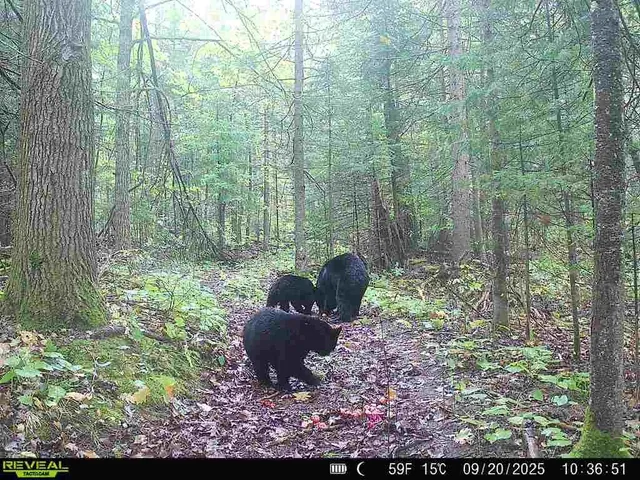 $200,000 | 6692 County Rd C, South Range, WI 54874