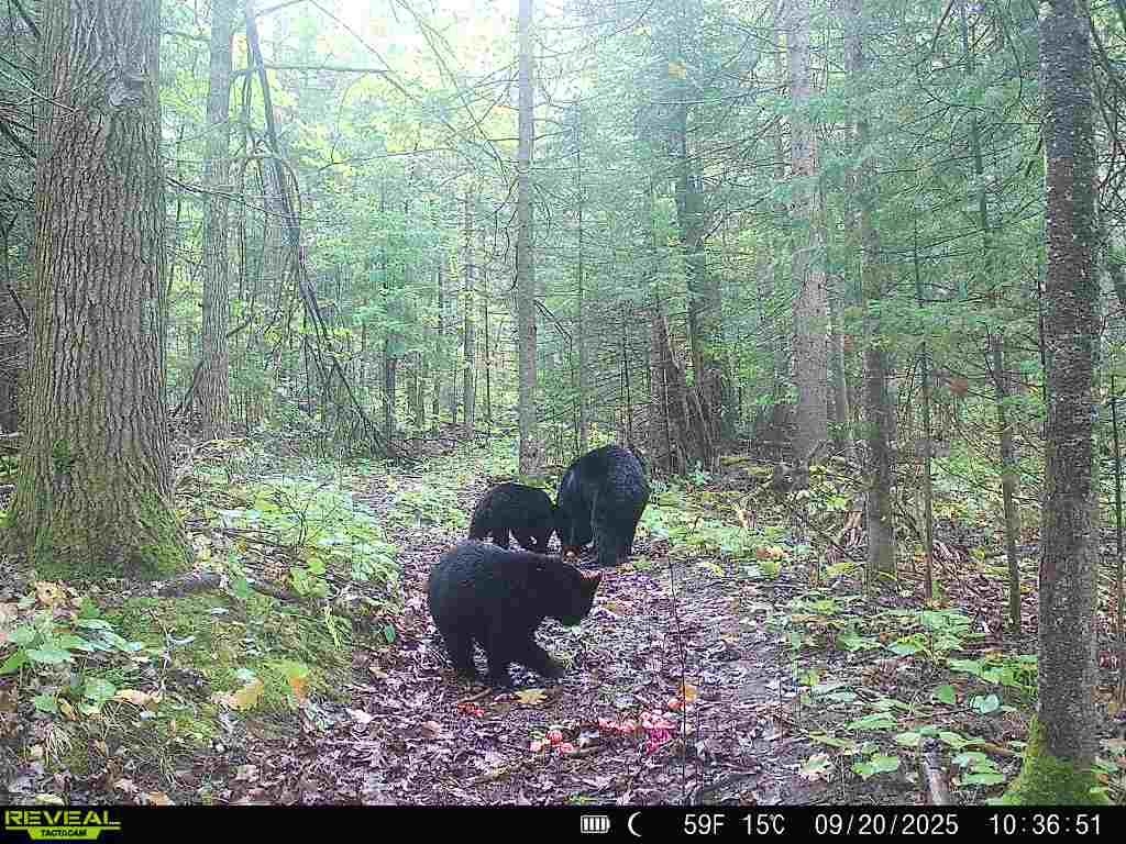 6692 County Rd C South Range, WI 54874 - Photo 29 of 33
