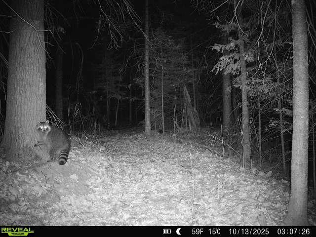 6692 County Rd C South Range, WI 54874 - Photo 30 of 33