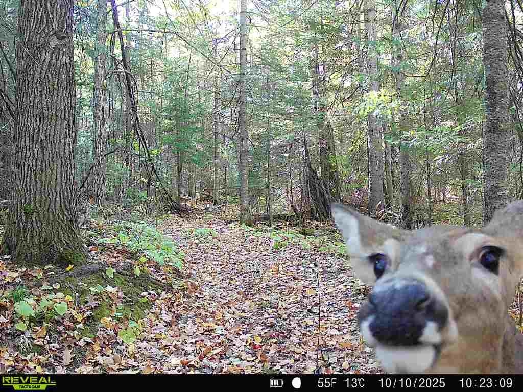 6692 County Rd C South Range, WI 54874 - Photo 31 of 33