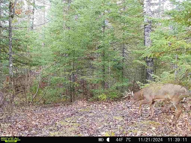 $200,000 | 6692 County Rd C, South Range, WI 54874