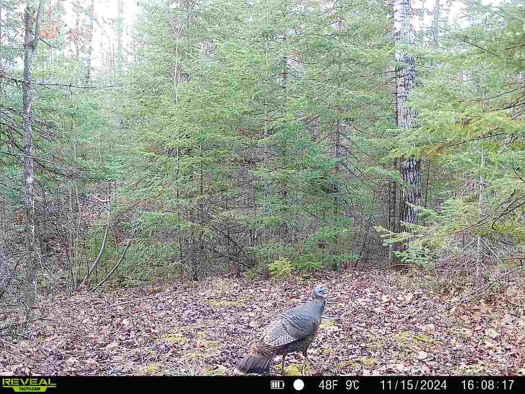 6692 County Rd C South Range, WI 54874 - Photo 33 of 33