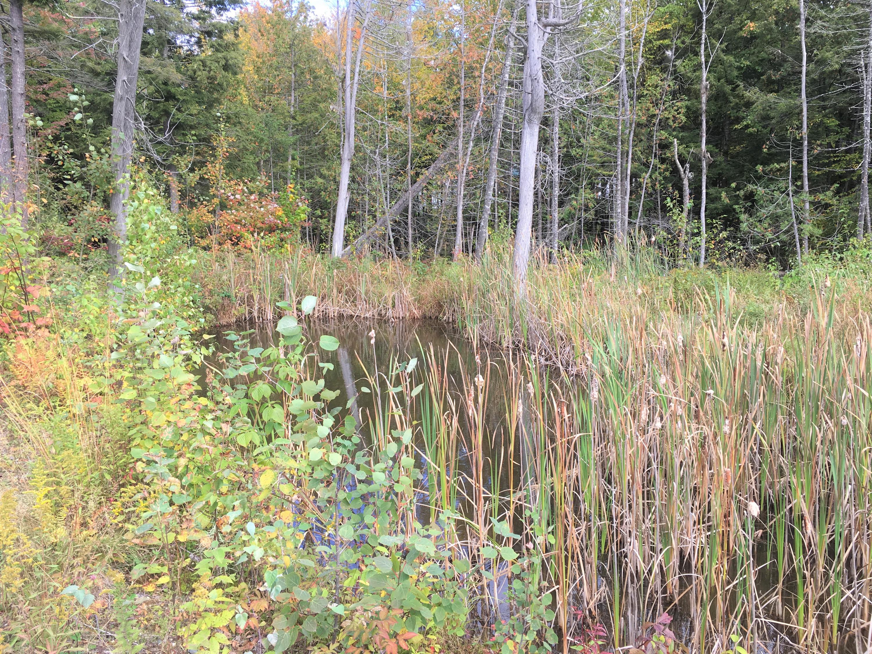 67 Longley Road Madison, ME 04950 - Photo 10 of 11 IMG_1059 (002)