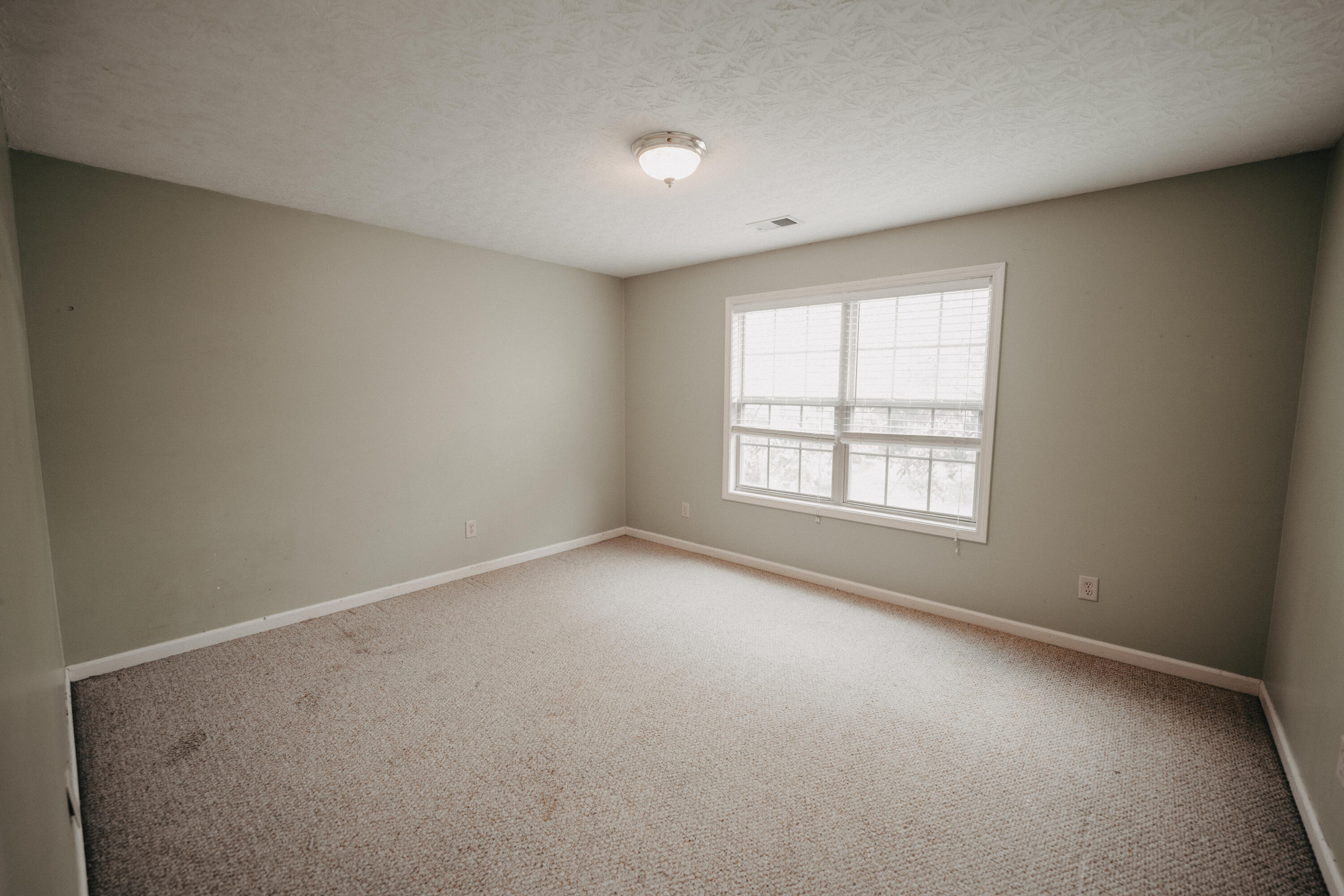 180 Strawberry Fields Road Lexington, KY 40516 - Photo 42 of 55 DSC00822