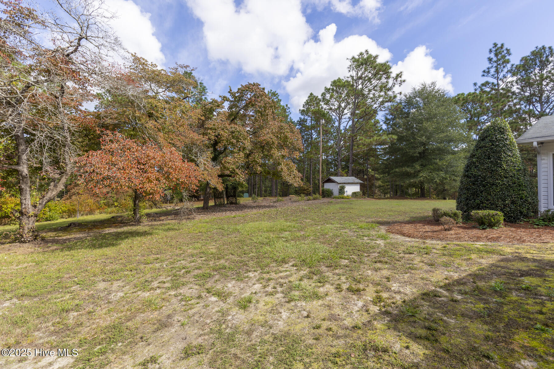 6215 Highway 211 West End, NC 27376 - Photo 21 of 30 backyard1