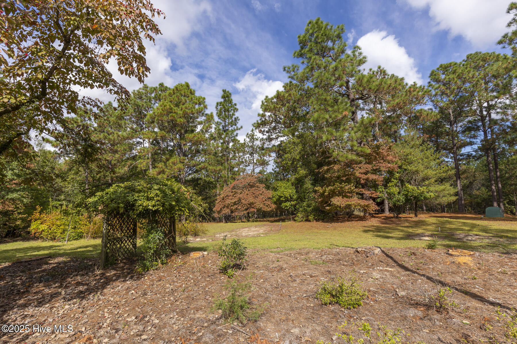 6215 Highway 211 West End, NC 27376 - Photo 22 of 30 backyard2