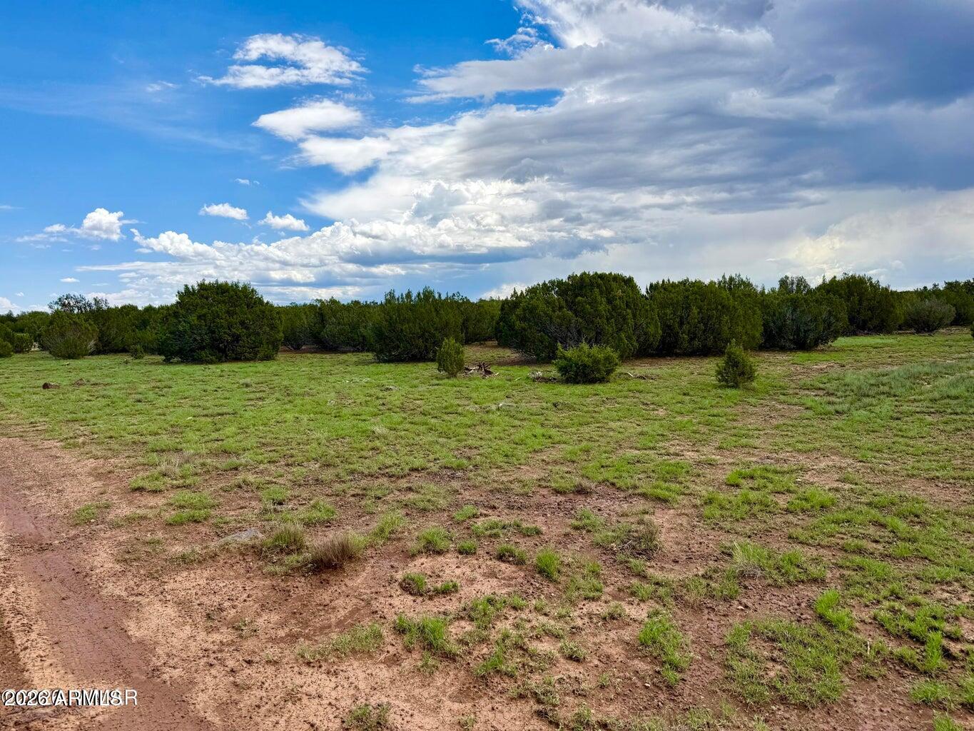 108 Co Road Concho, AZ 85924 - Photo 5 of 17 20260727220024093771000000-o