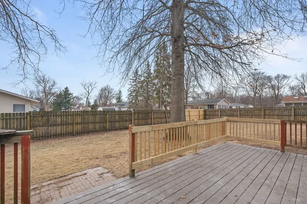 a view of a deck with a large trees