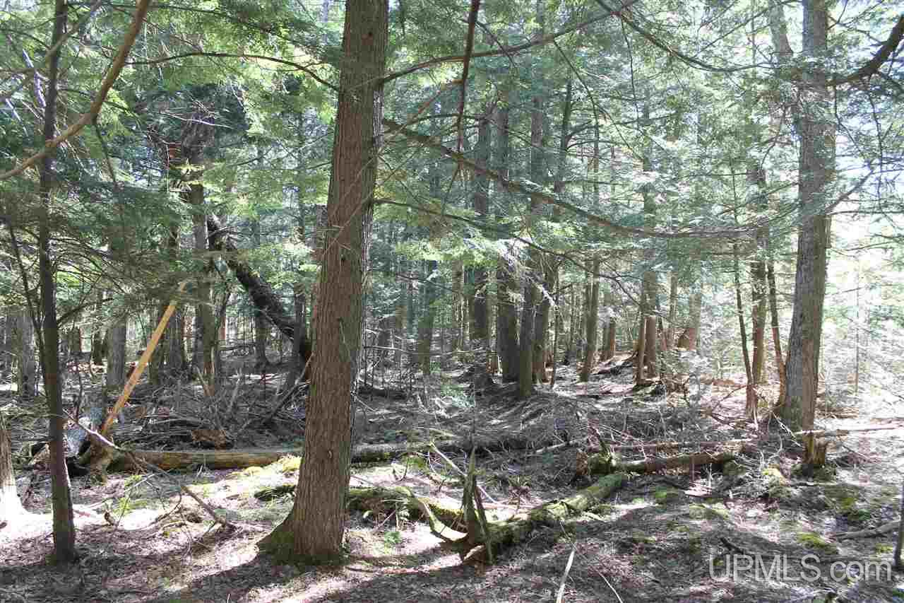 Tbd Tbd Trail Road, Unit 300 Deerton, MI 49822 - Photo 1 of 6