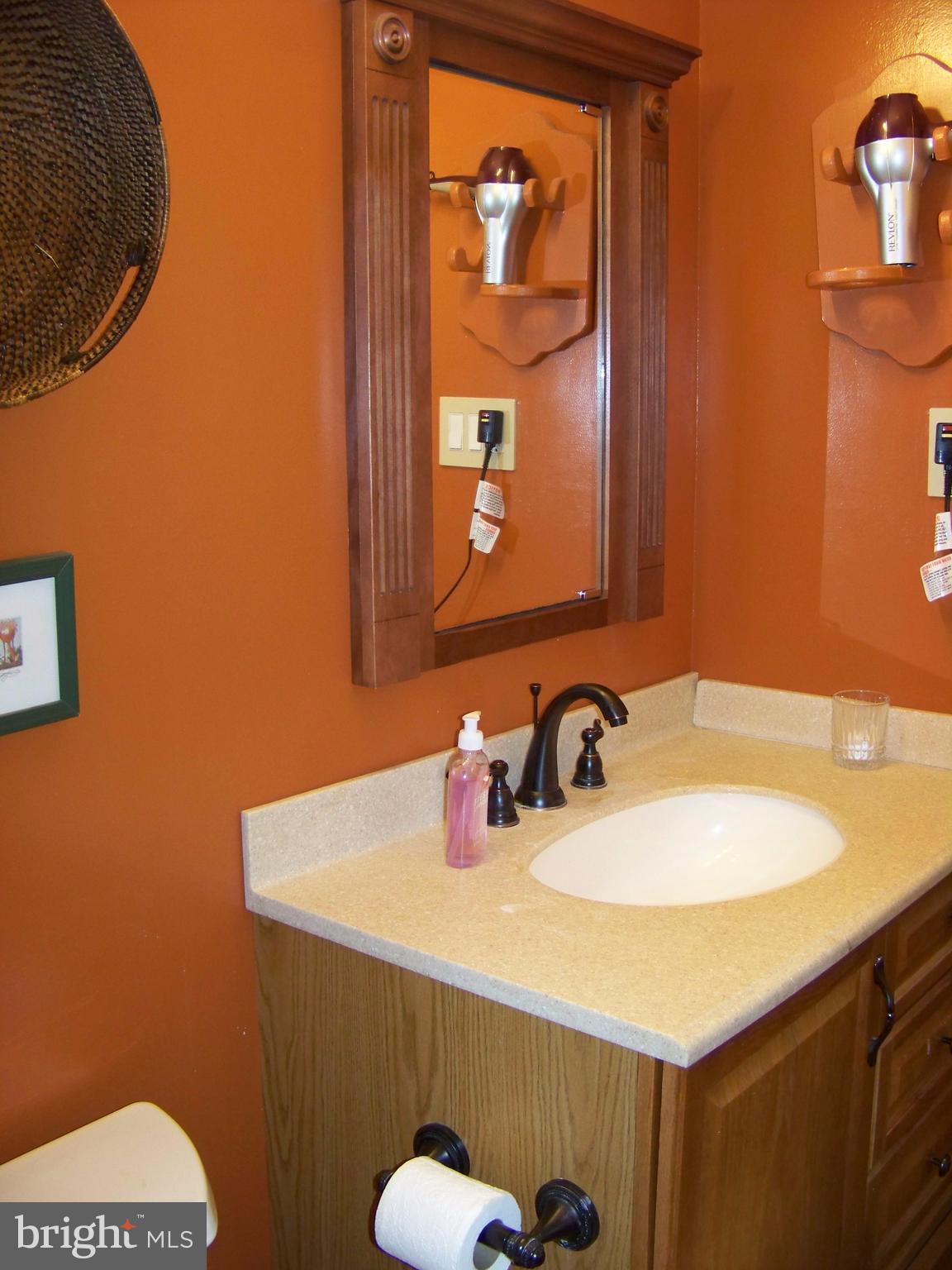 1727 Truro Road Crofton, MD 21114 - Photo 14 of 25 Updated Own'er's Shower Bath