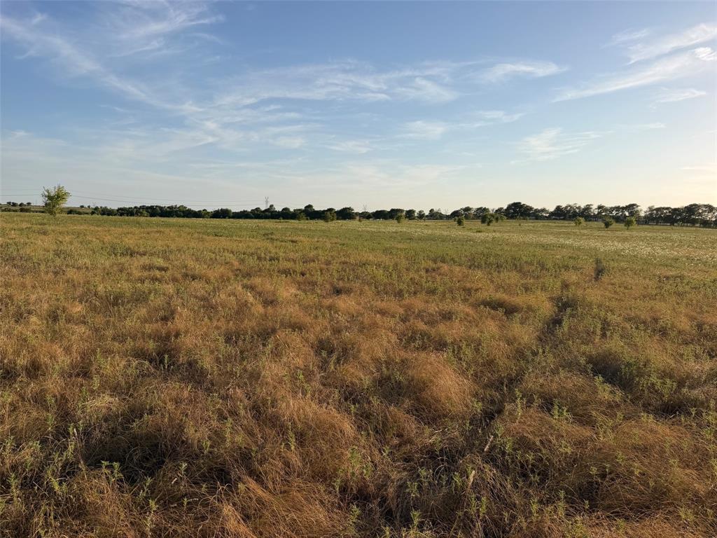 Tbd North Hickory Road Krum, TX 76249 - Photo 11 of 18 Gallery Image 11