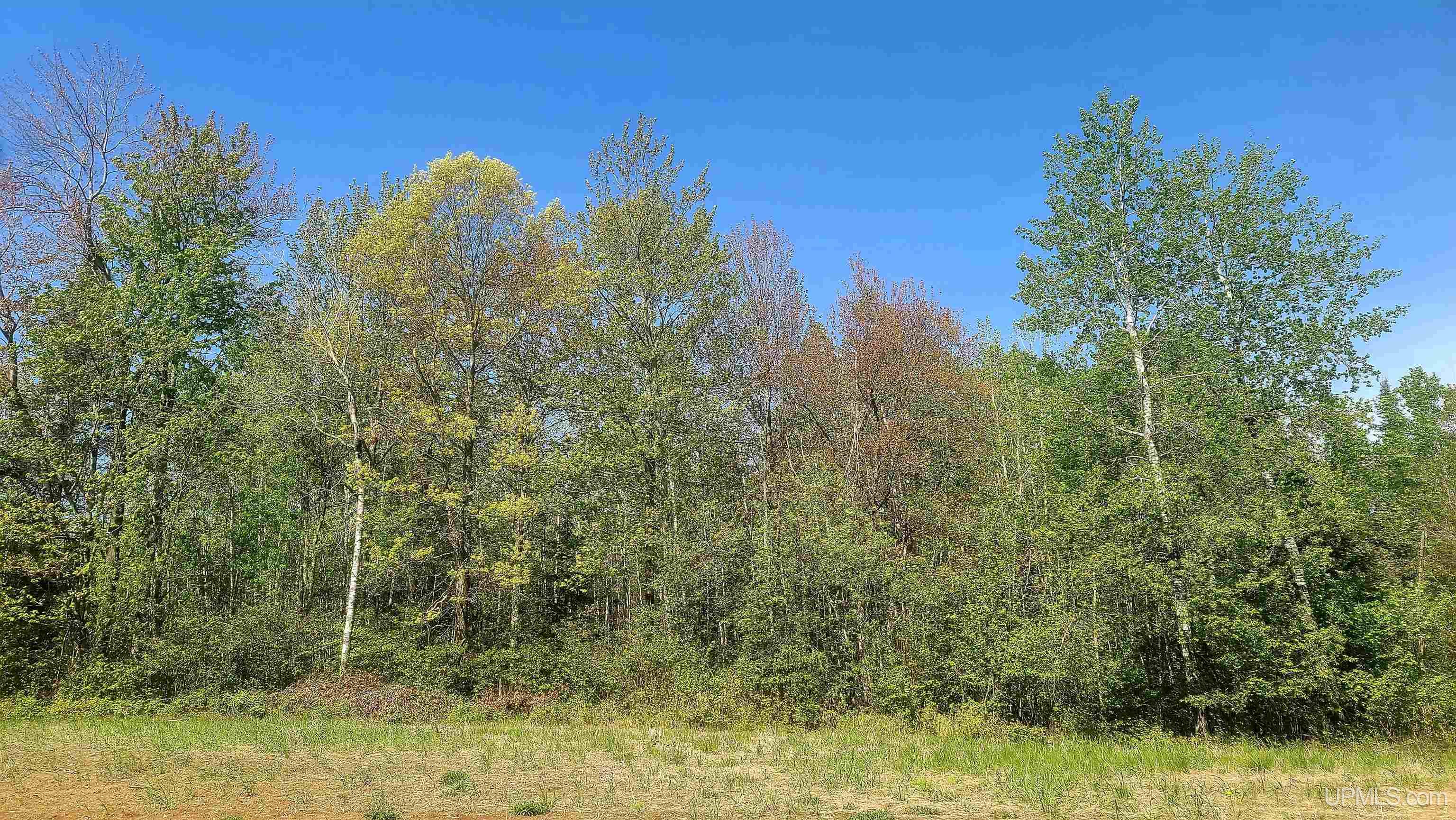 T-wi Wi 54119 Road Dunbar, WI 54119 - Photo 23 of 25 Gallery Image 23