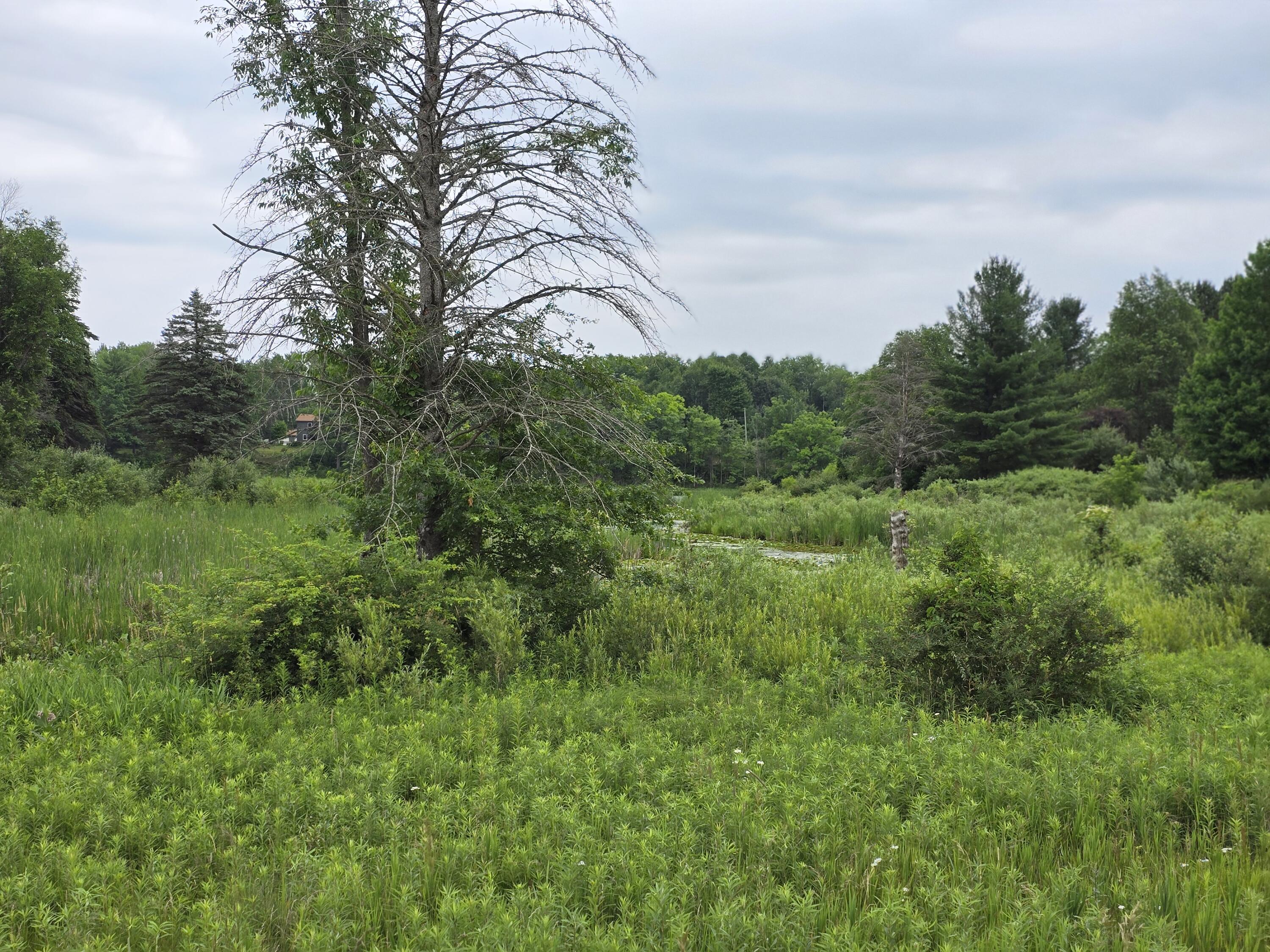 6172 Lake Road Barryton, MI 49305 - Photo 1 of 9 20240628_145815