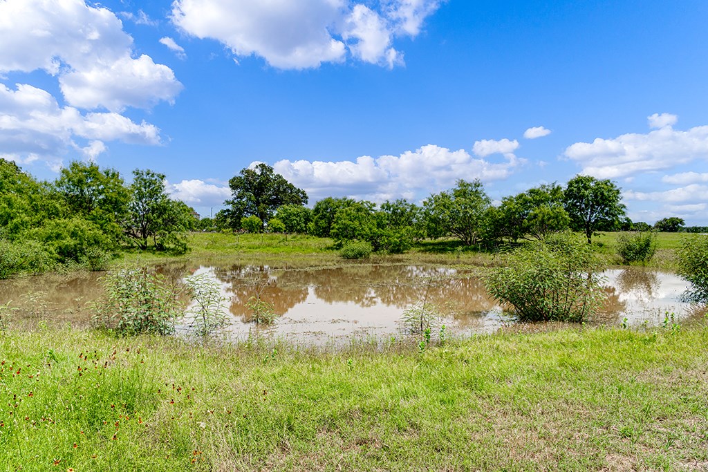 646 Victor Eckhardt Road Fredericksburg, TX 78624 - Photo 43 of 60