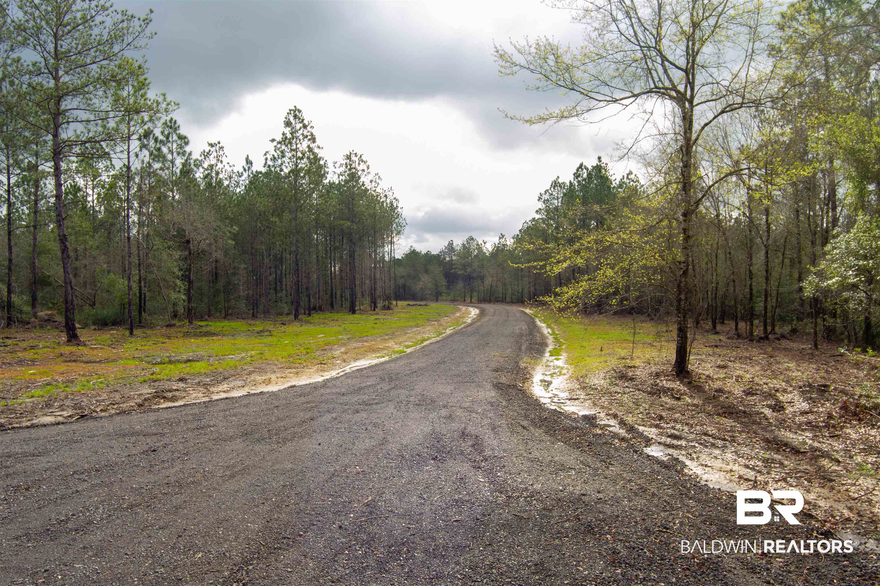 7 Foxtrap Road Axis, AL 36505 - Photo 14 of 20