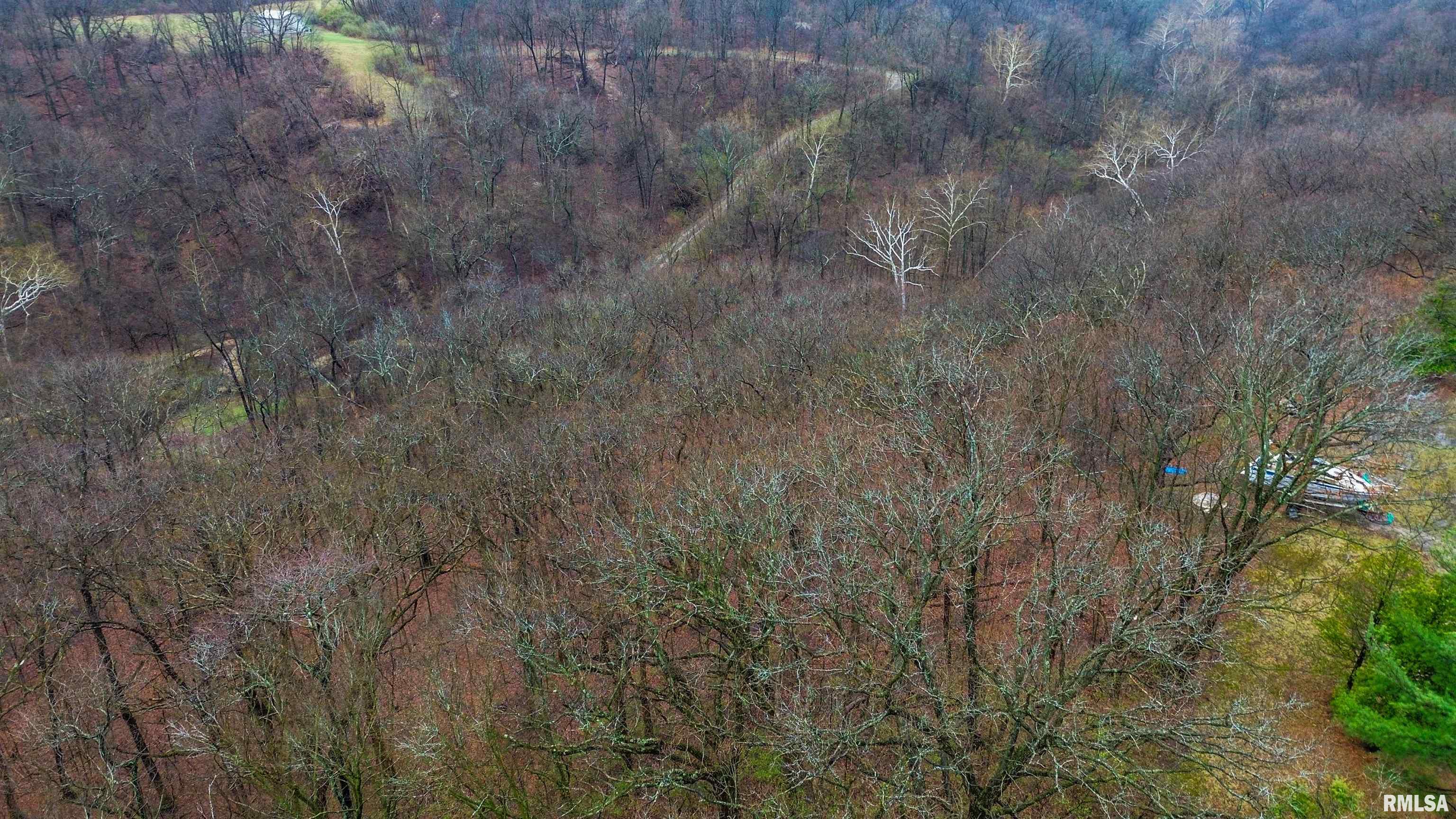 315 Hale Street Washington, IL 61571 - Photo 12 of 15