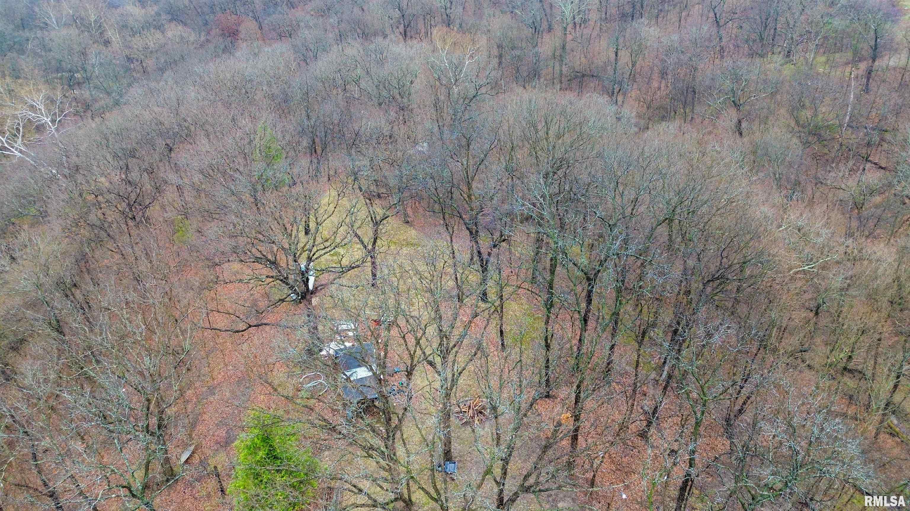 315 Hale Street Washington, IL 61571 - Photo 5 of 15