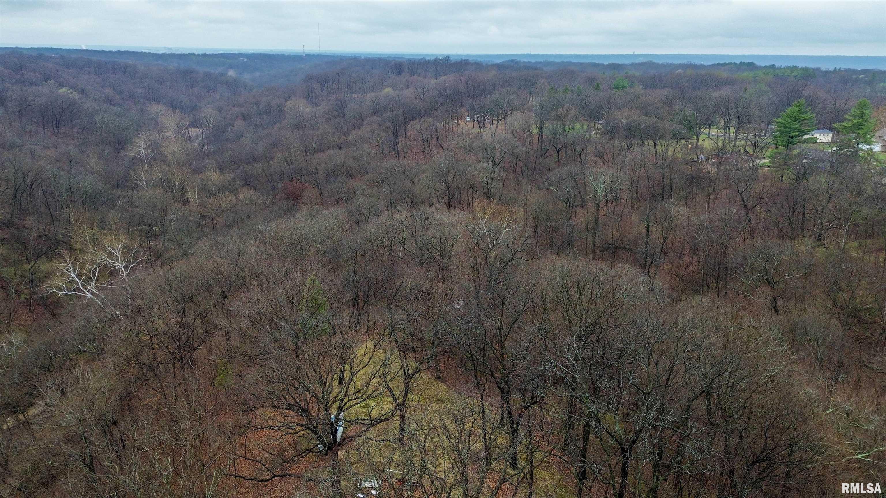 315 Hale Street Washington, IL 61571 - Photo 6 of 15