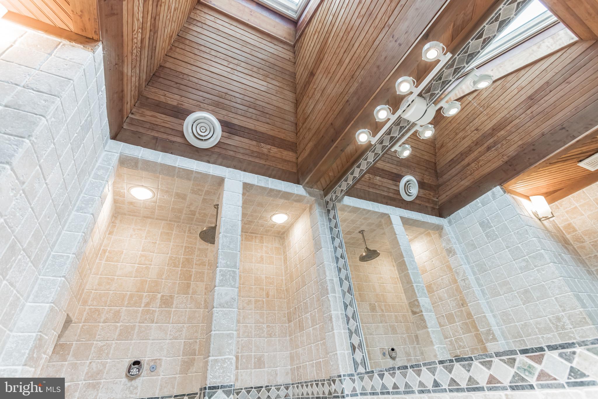 2100 Marymont Road Silver Spring, MD 20906 - Photo 22 of 37 Skylight in bathroom 3