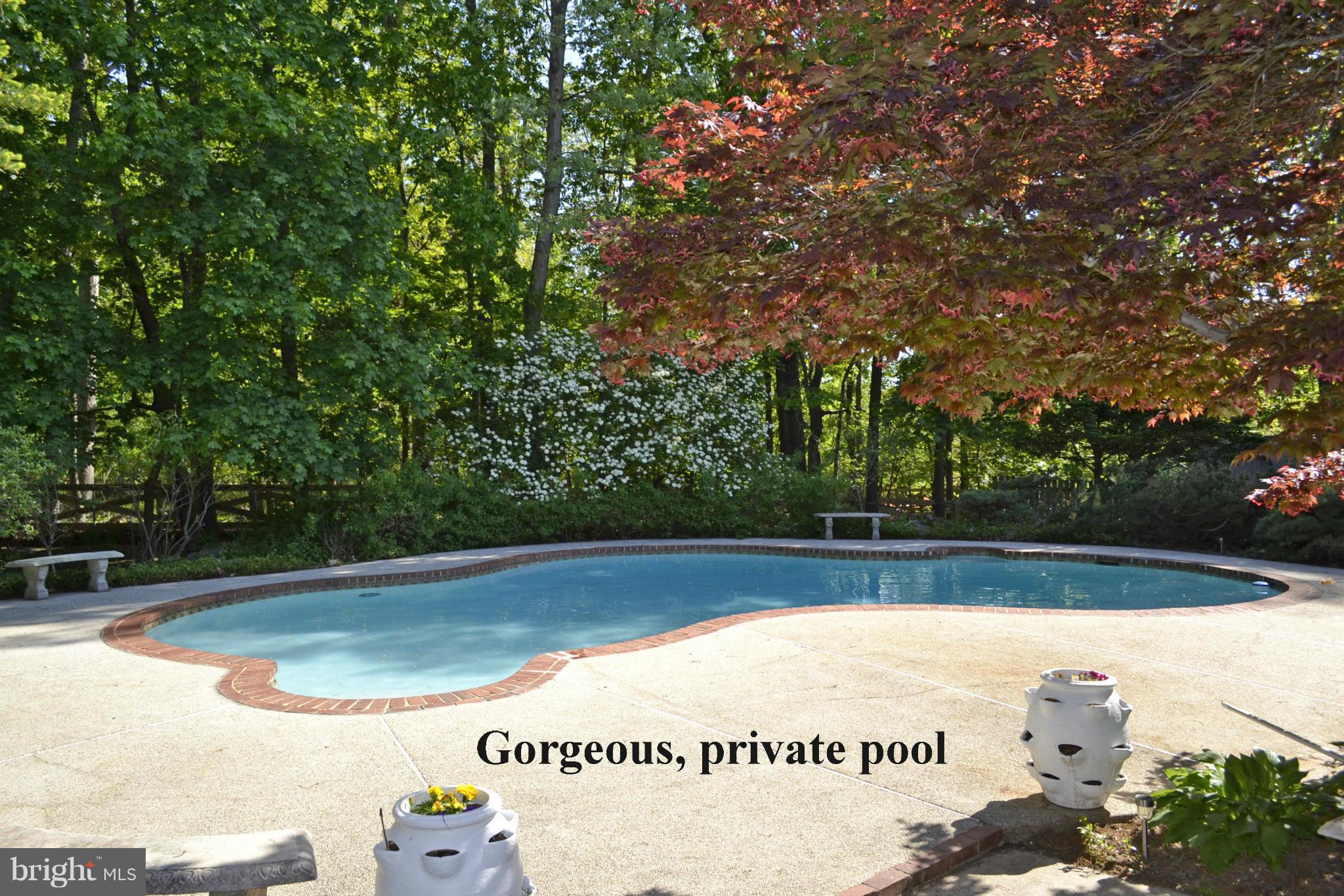 2100 Marymont Road Silver Spring, MD 20906 - Photo 30 of 37 Swimming pool in the summer