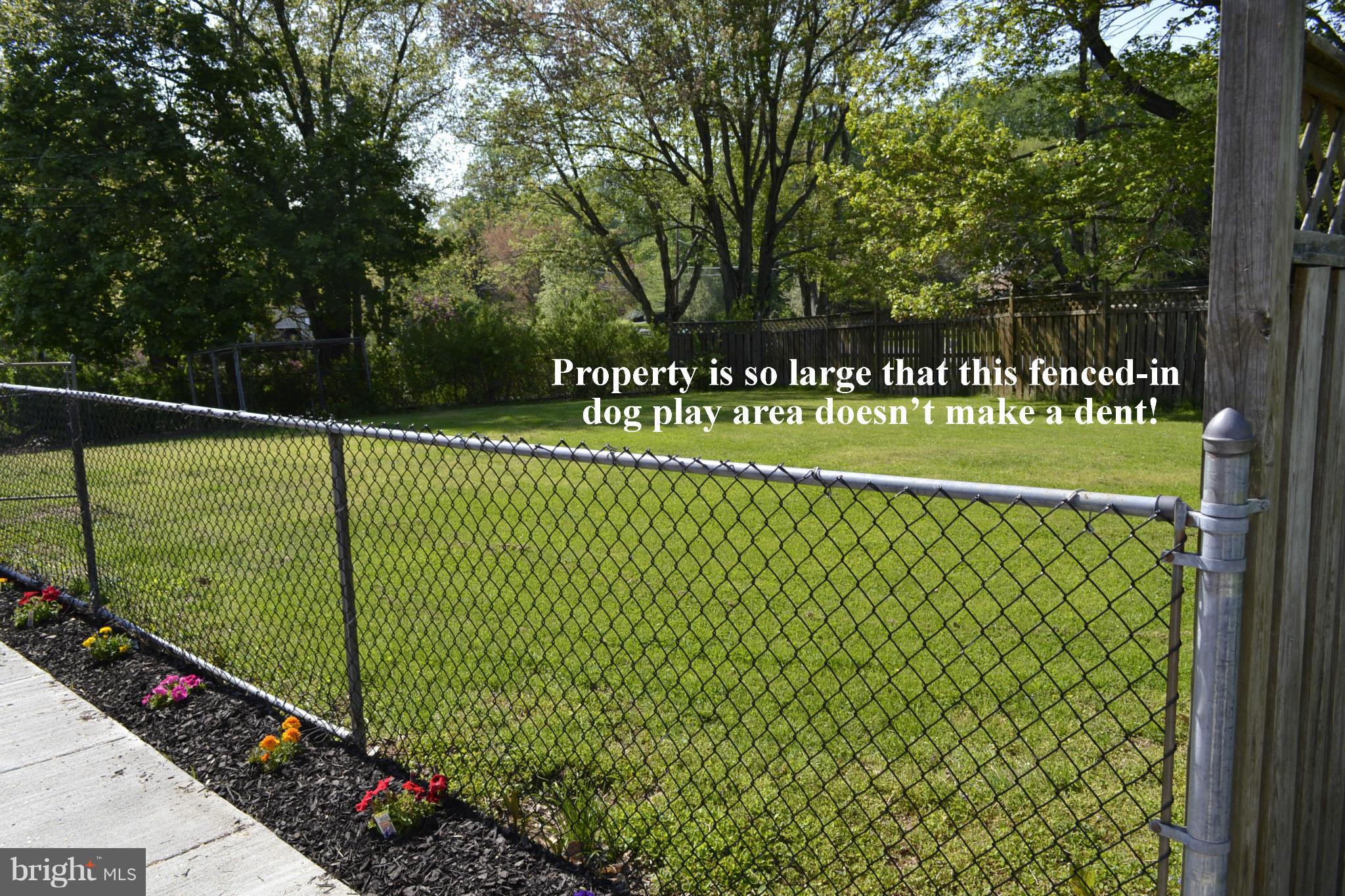 2100 Marymont Road Silver Spring, MD 20906 - Photo 35 of 37 Fenced area for dogs/kids just outside the kitchen
