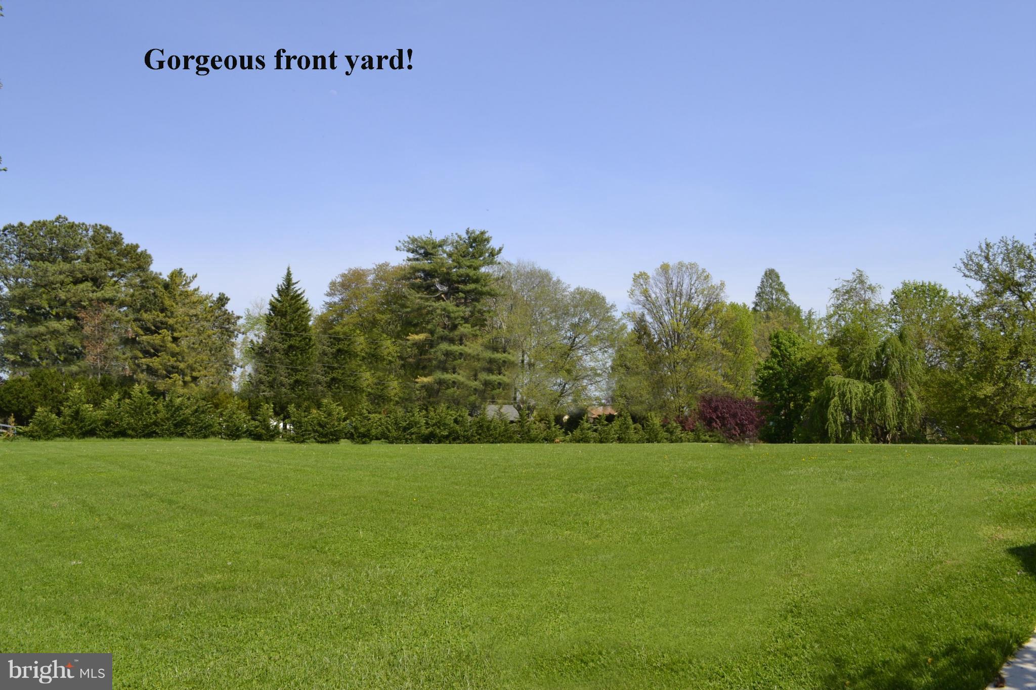 2100 Marymont Road Silver Spring, MD 20906 - Photo 36 of 37 Huge front yard!