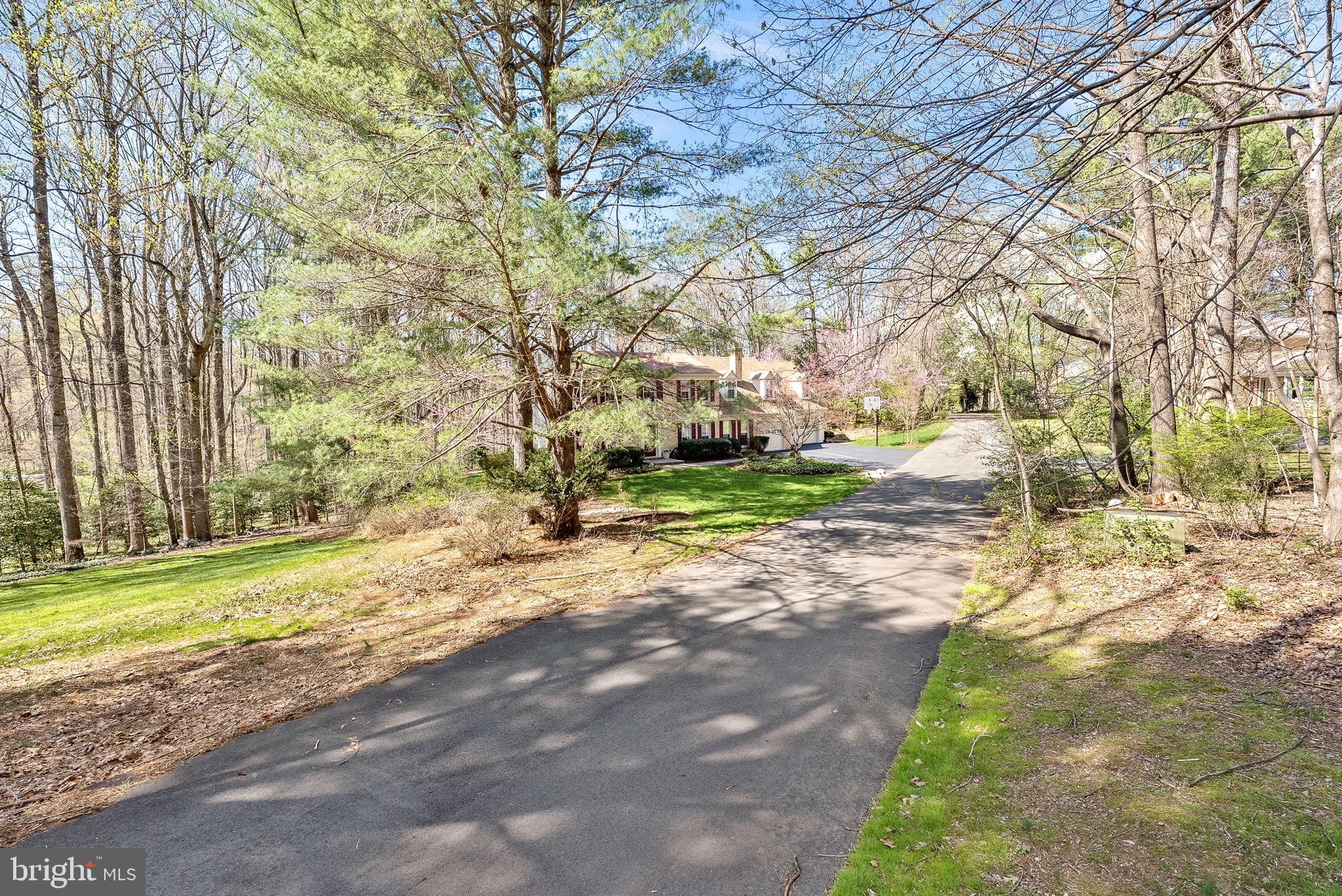 2804 Bree Hill Road Oakton, VA 22124 - Photo 4 of 46 a view of a yard with plants and large trees