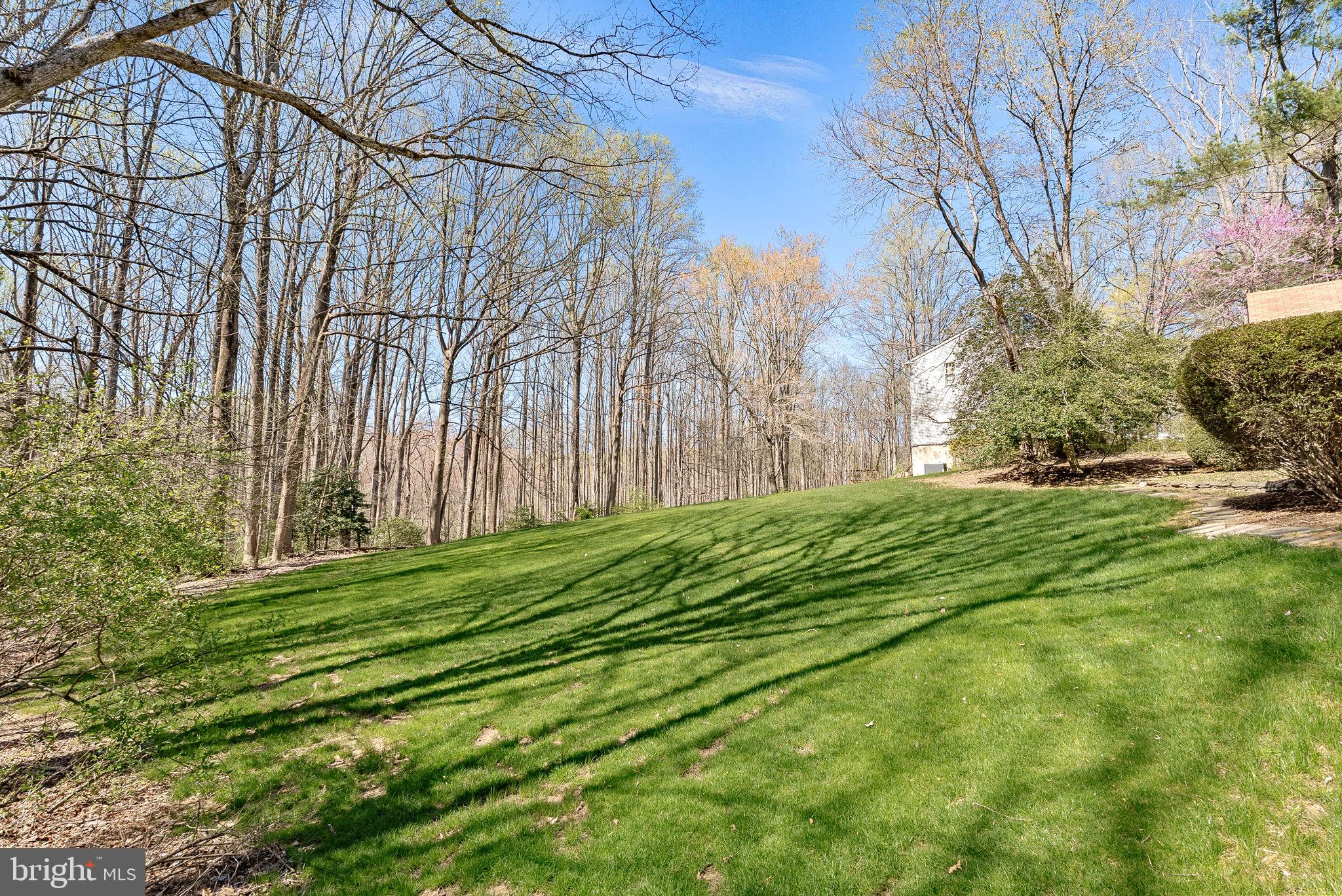 2804 Bree Hill Road Oakton, VA 22124 - Photo 46 of 46 a backyard of a house
