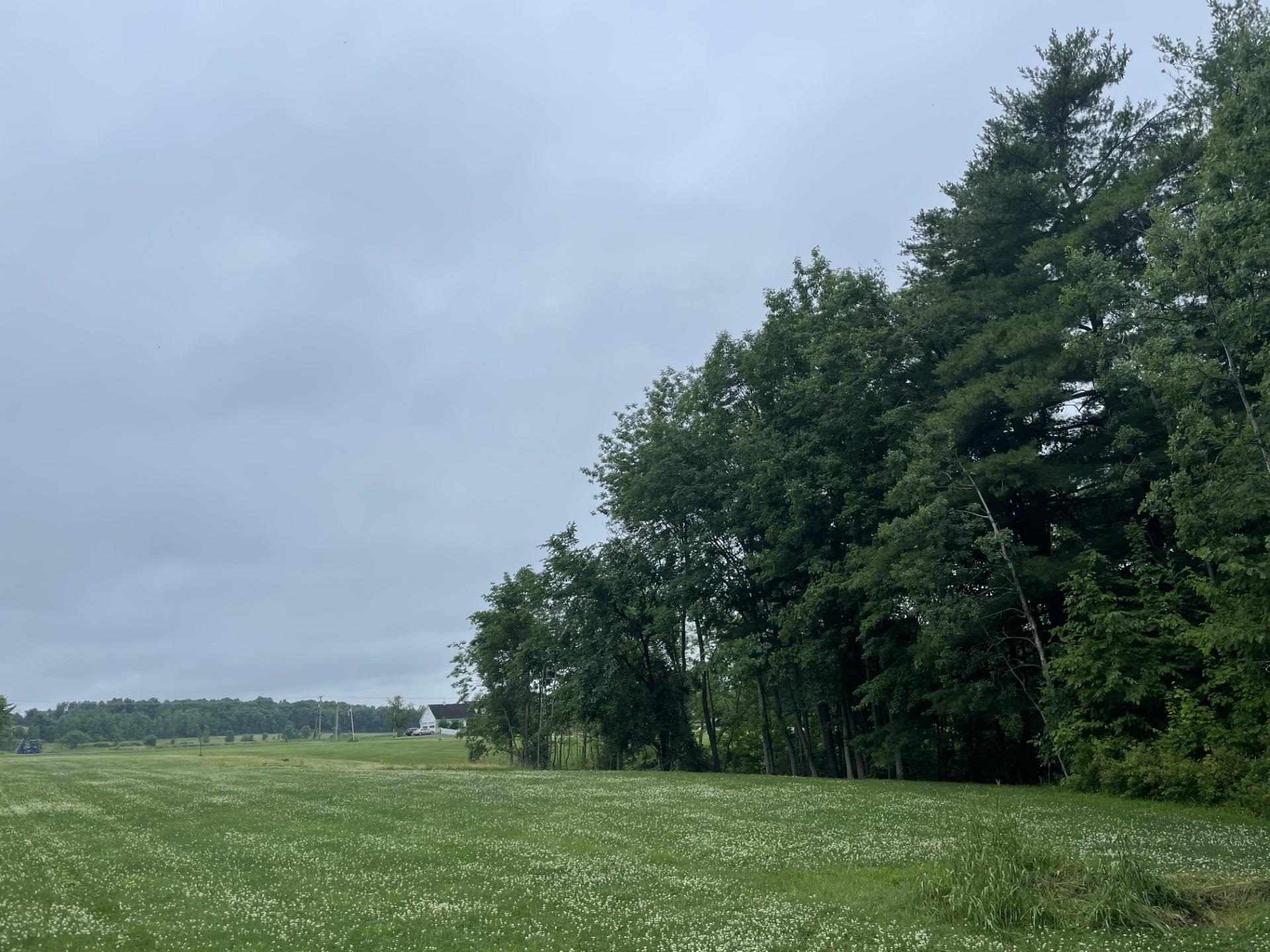 644 Panton Road, Unit 2 Panton, VT 05491 - Photo 12 of 21