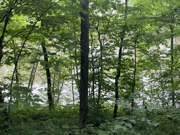 $150,000 | 644 Panton Road, Unit 2, Panton, VT 05491