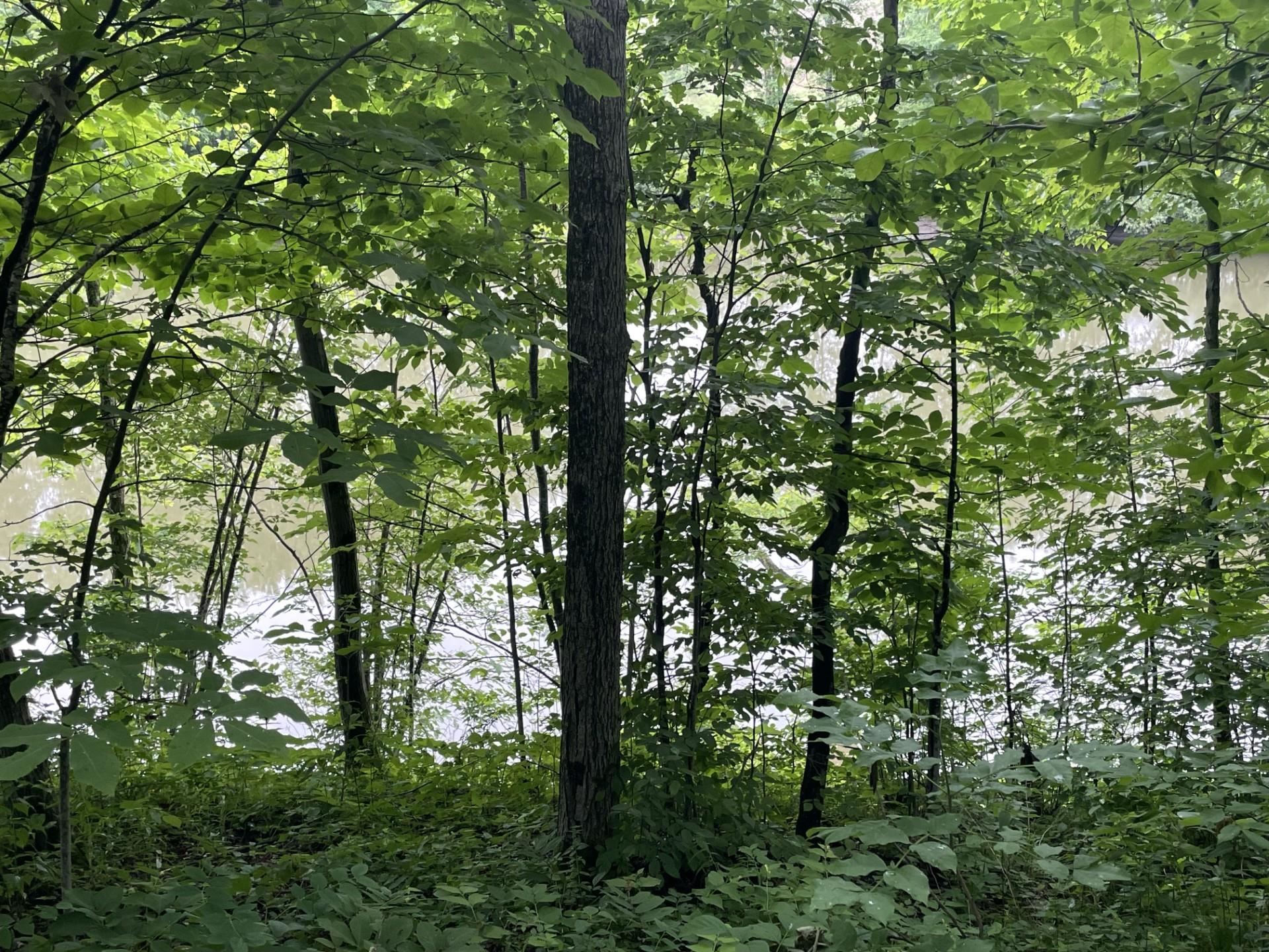 644 Panton Road, Unit 2 Panton, VT 05491 - Photo 14 of 21